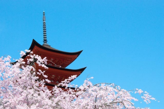 2009_03_30-228-miyajima.jpg