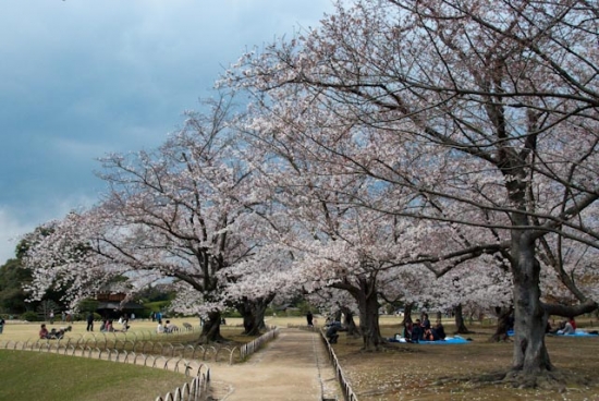 2009_04_01-046-okayama.jpg