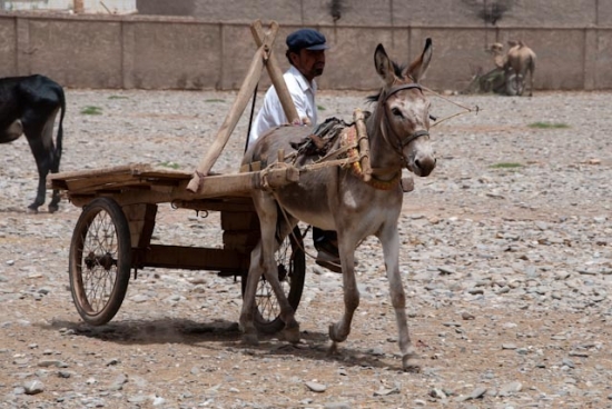 2009_06_28-kashgar-404.jpg