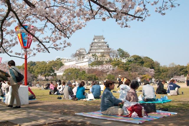 2009_04_06-034-himeji.jpg