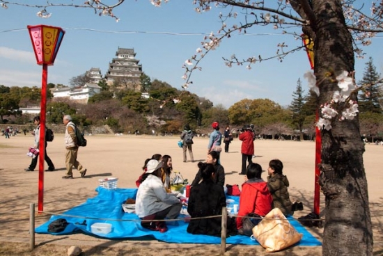 2009_03_31-041-himeji.jpg