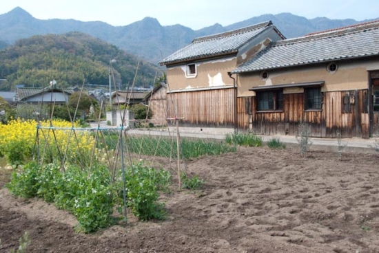 2009_04_05-096-shodoshima.jpg