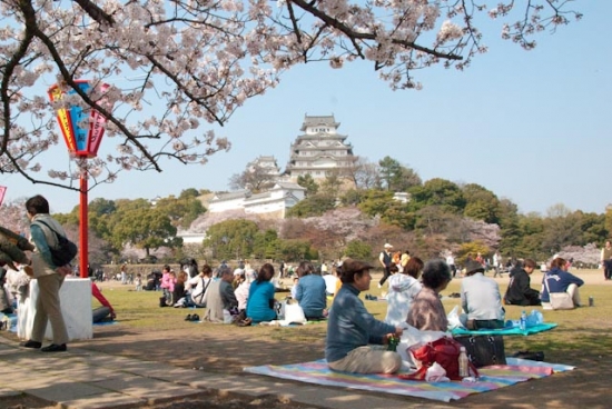 2009_04_06-034-himeji.jpg