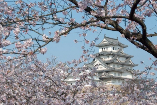 2009_04_06-077-himeji.jpg