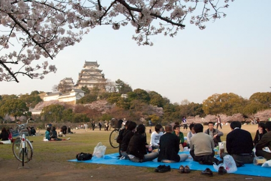 2009_04_06-210-himeji.jpg