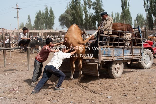 2009_08_30-kashgar-343.jpg