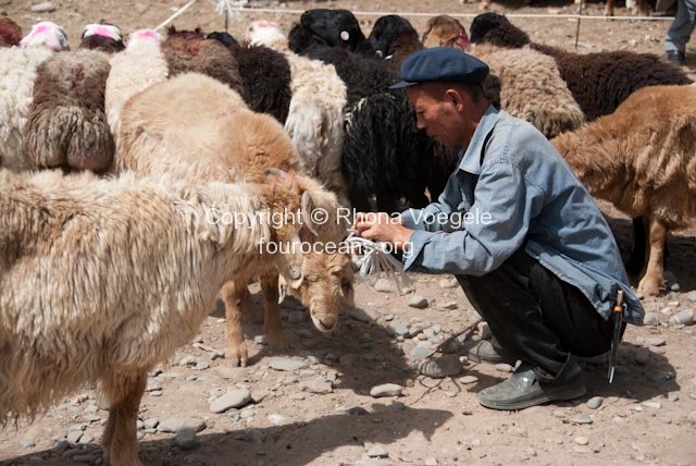 2009_08_30-kashgar-50.jpg