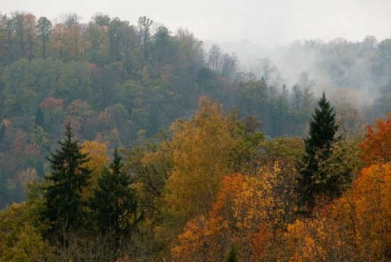 2009_10_17-sigulda-37.jpg