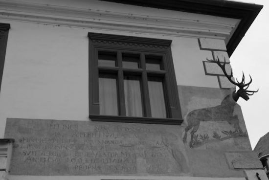 2009_12_30-sighisoara-42.jpg