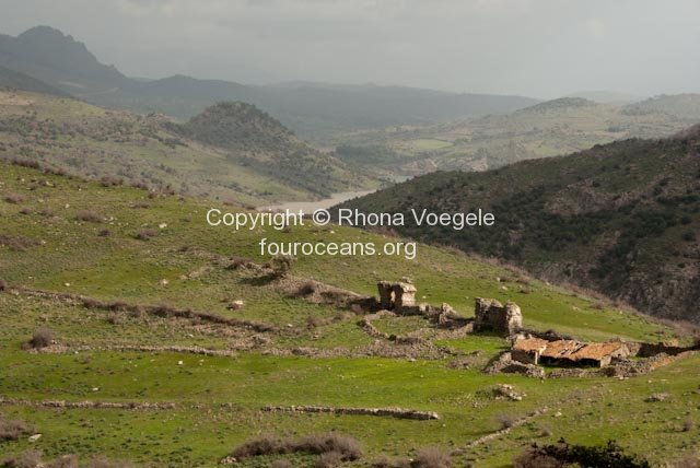 2010_02_18-pergamum-10.jpg